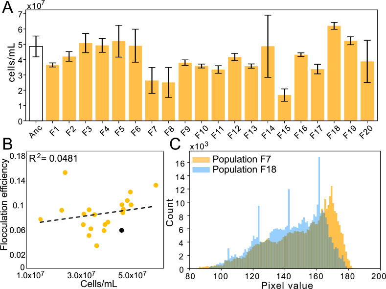 Figure 2—figure supplement 2.