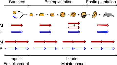 FIG. 6.