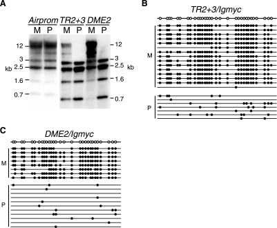 FIG. 3.