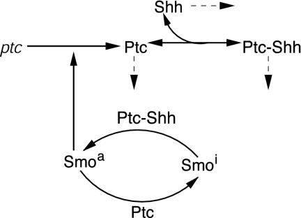 Fig. 1.