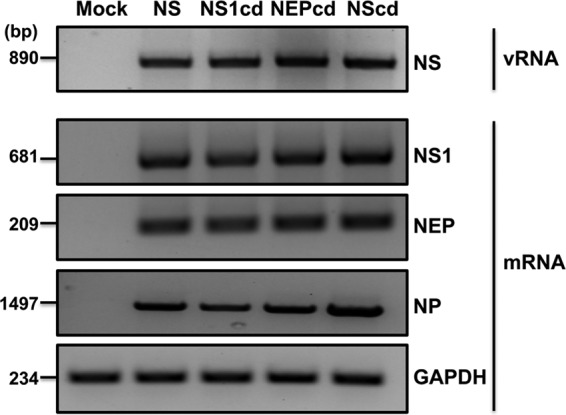 FIG 3