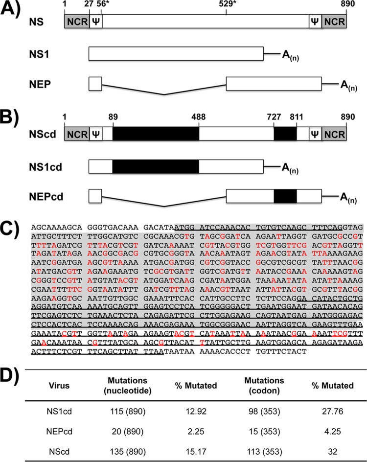 FIG 1