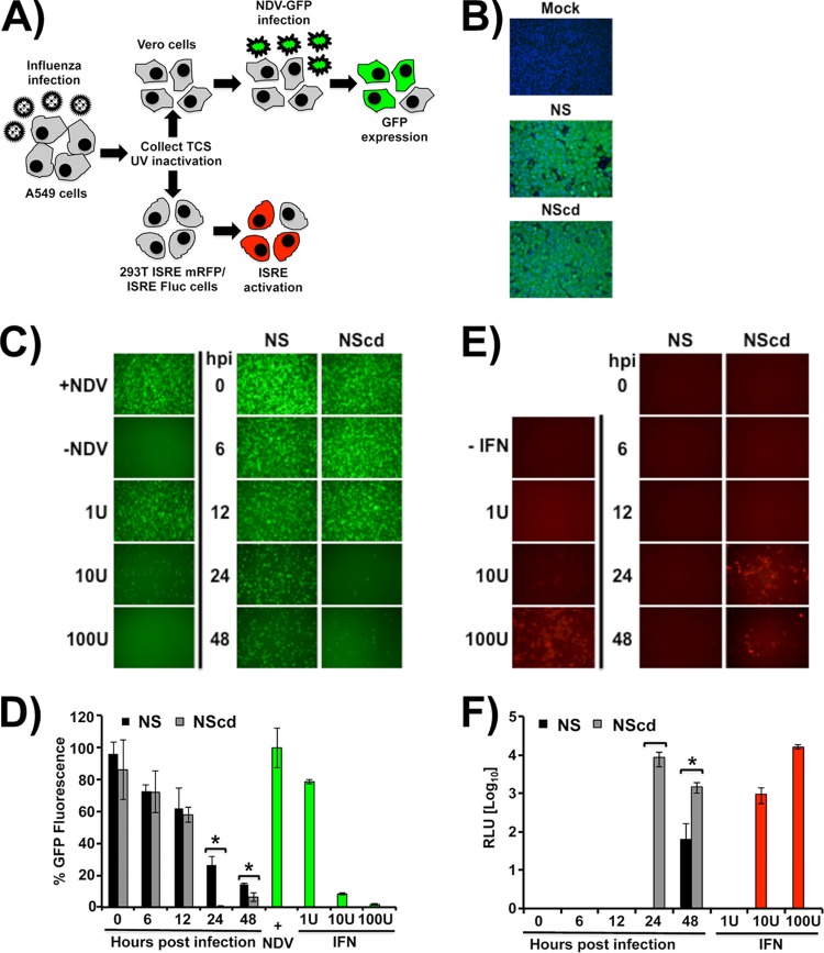 FIG 10