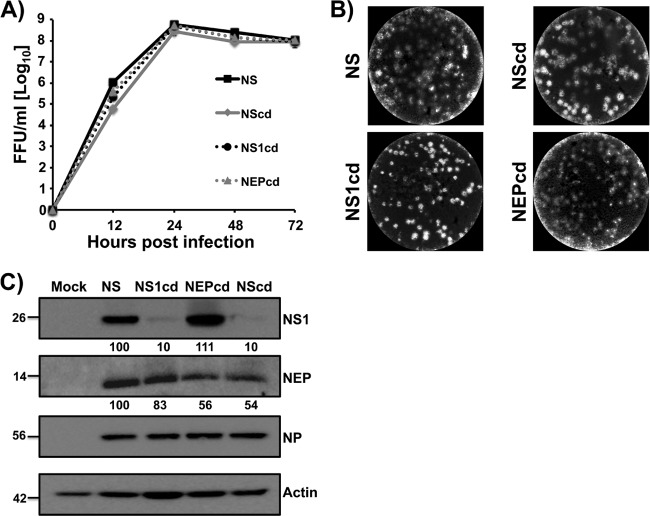 FIG 4