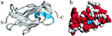 Figure  4