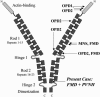 Figure  1