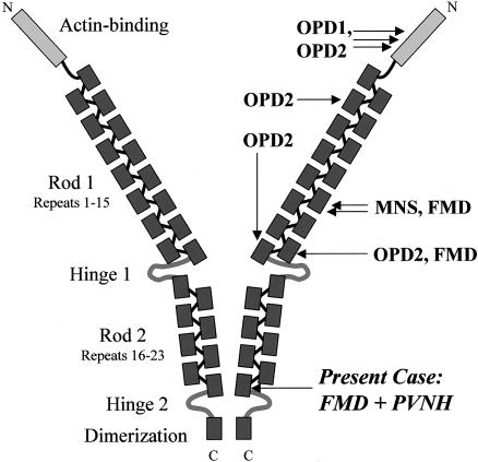 Figure  1