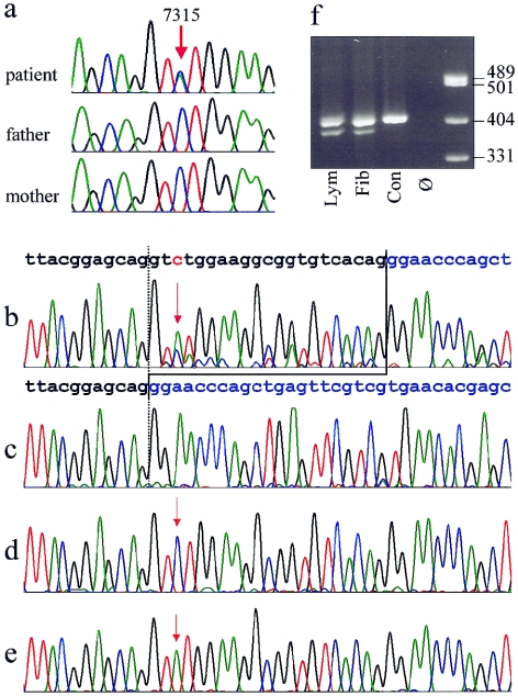 Figure  3