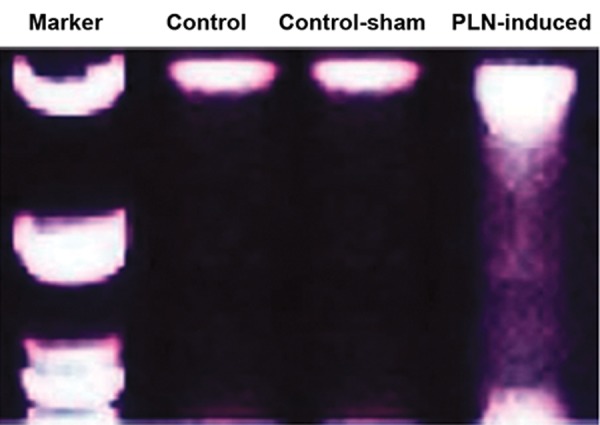 Fig.4