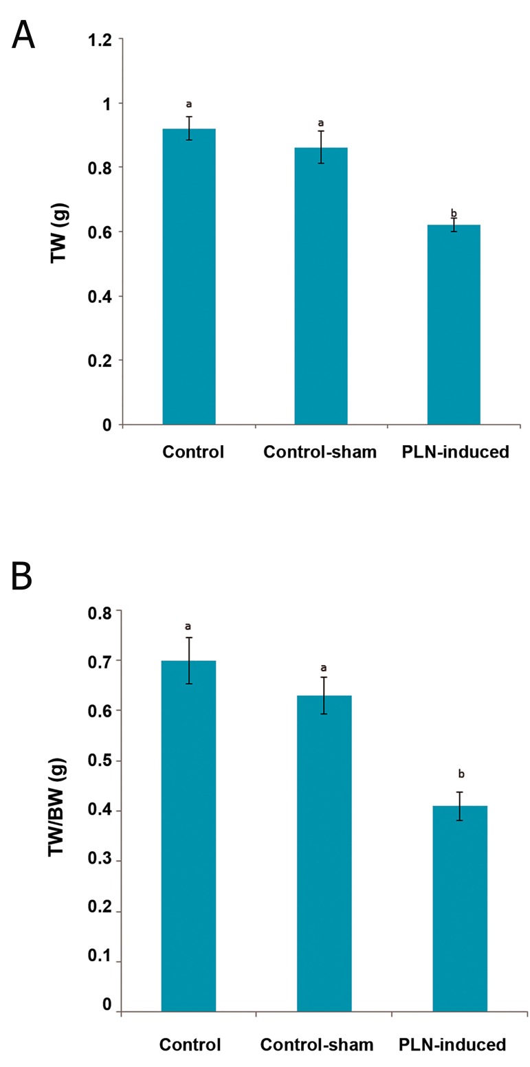 Fig.1