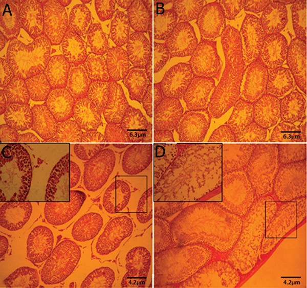 Fig.2