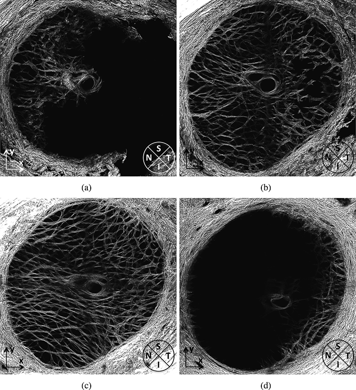 Figure 15: