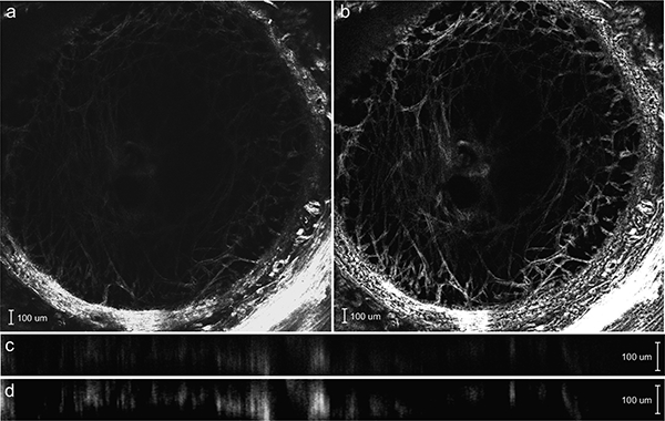 Figure 2: