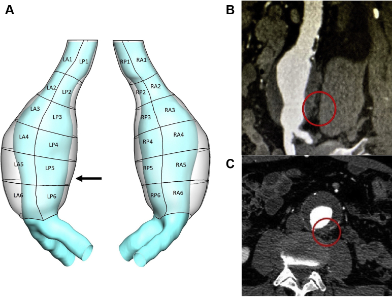 Fig 1