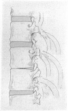 464-3