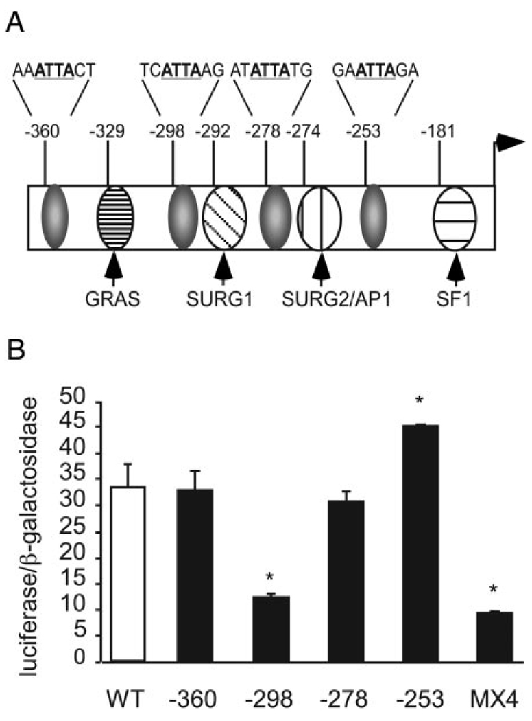 FIG. 1