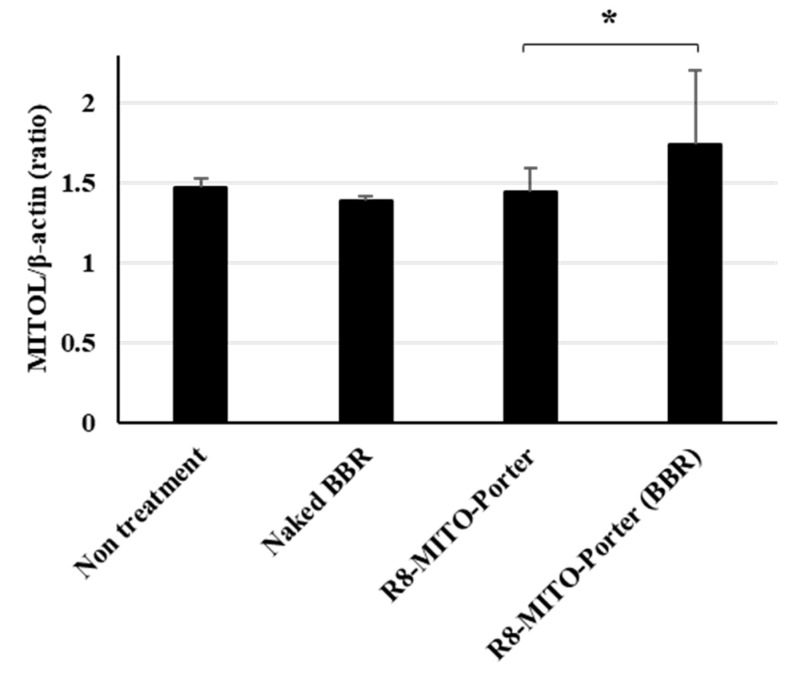 Figure 6