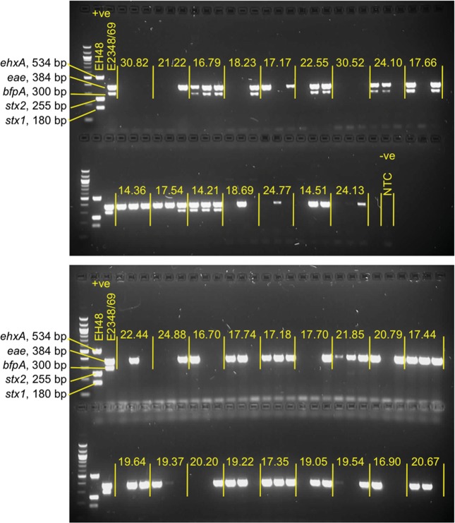 Figure 3.