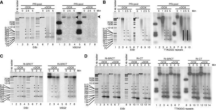 Figure 5.