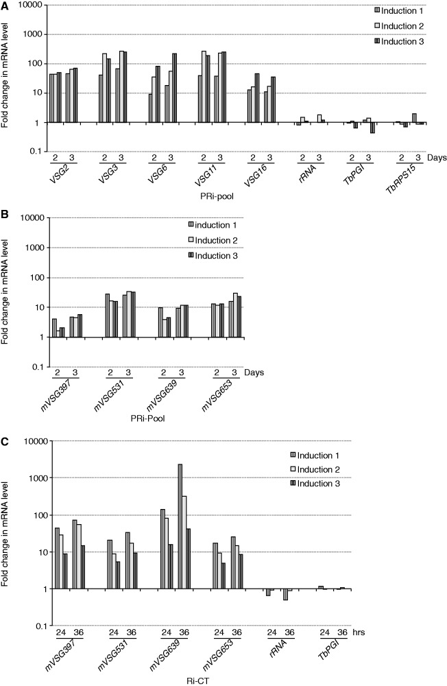 Figure 2.