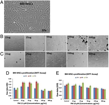 Fig. 33 (abstract P91)