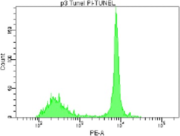 Fig. 21 (abstract P58)