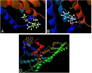 Fig. 20 (abstract P54)