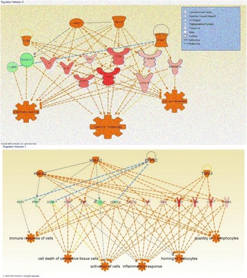 Fig. 23 (abstract P67)