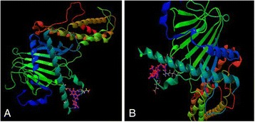 Fig. 19 (abstract P53)