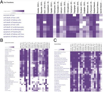 Fig. 44 (abstract P114)