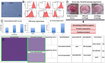 Fig. 34 (abstract P93)