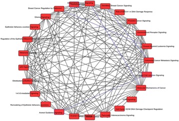 Fig. 43 (abstract P112)