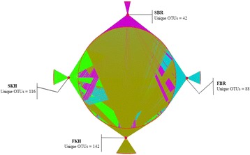 Fig. 49 (abstract P123)