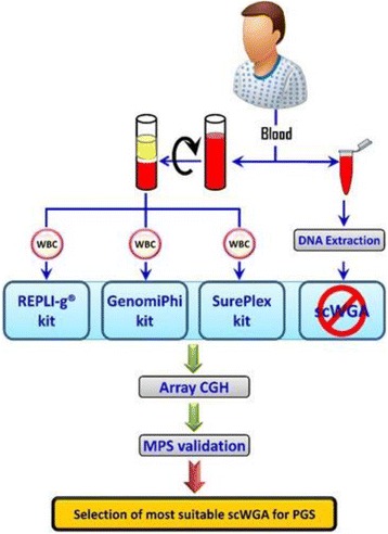 Fig. 25 (abstract P75)