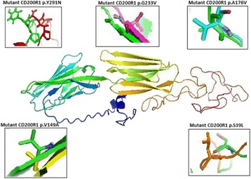 Fig. 9 (abstract P29)