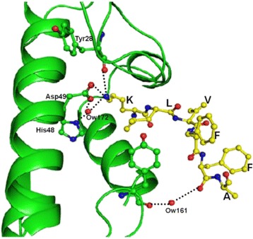 Fig. 41 (abstract P108)