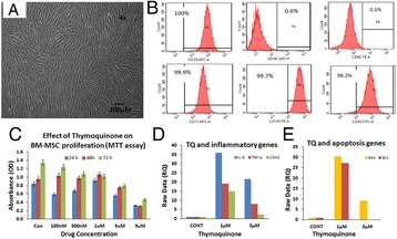 Fig. 18 (abstract P51)