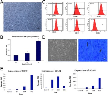 Fig. 17 (abstract P49)