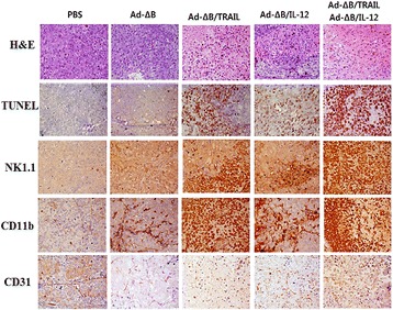 Fig. 6 (abstract P17)