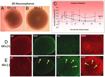 Fig. 42 (abstract P110)