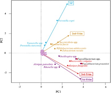 Fig. 39 (abstract 104)