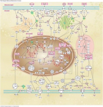 Fig. 50 (abstract P133)