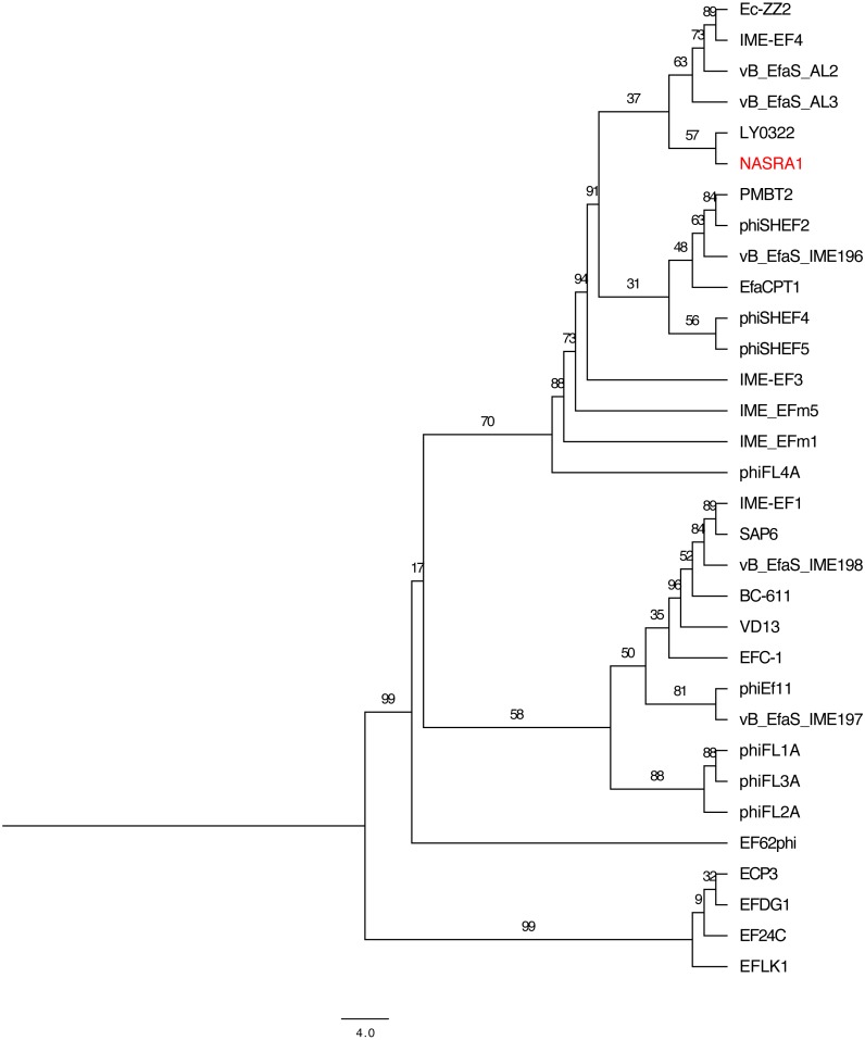 Figure 6