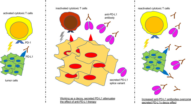 graphic file with name jciinsight-7-153323-g175.jpg