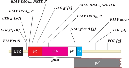 FIG. 1.