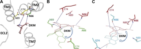 FIGURE 5.