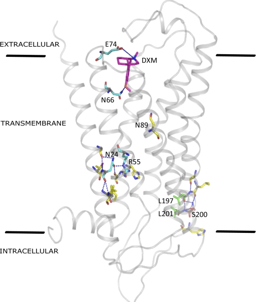 FIGURE 6.