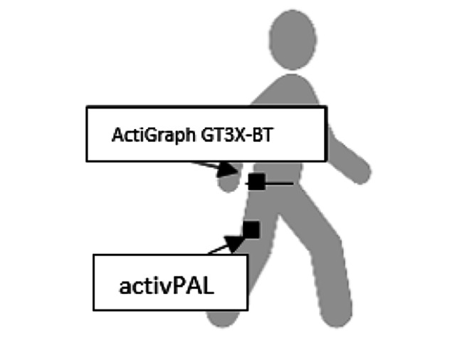 Fig. 1