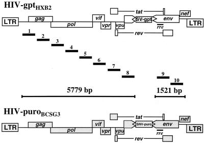 FIG. 1