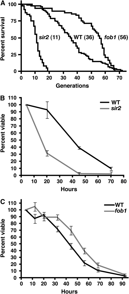 Figure 5.—